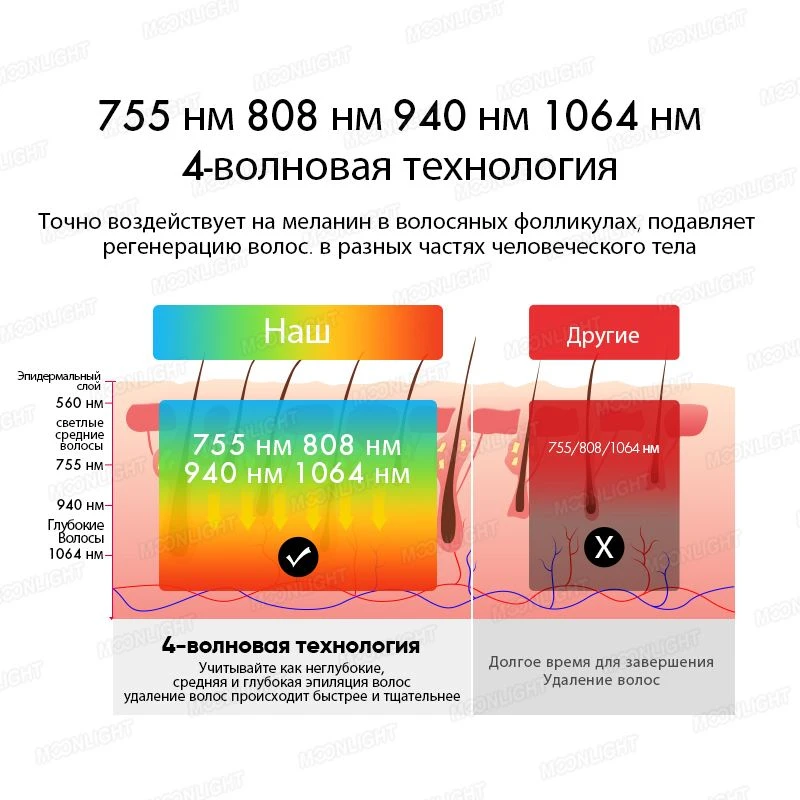 product-800-800